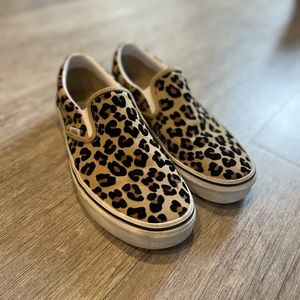 Leopard VANS